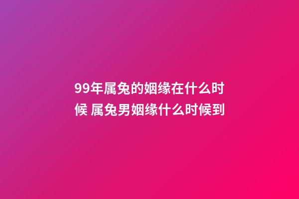 99年属兔的姻缘在什么时候 属兔男姻缘什么时候到-第1张-观点-玄机派